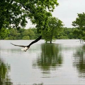 Meet your Posher, Wallace